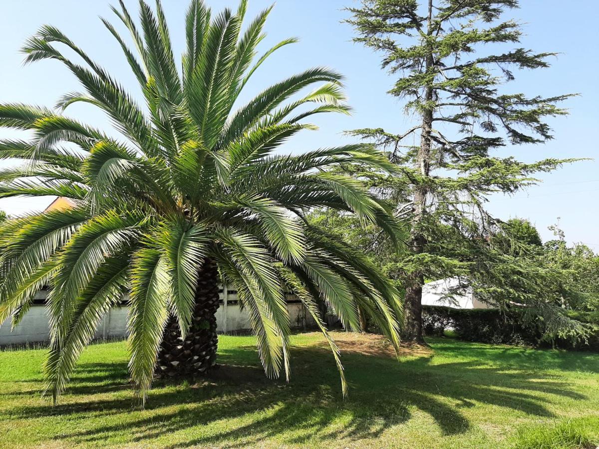 Casa De Verano La Gaviota En Asturias Villaviciosa  Bagian luar foto